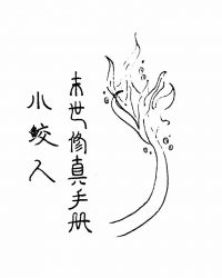 甲武圣徒