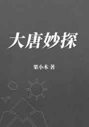 大唐妙探